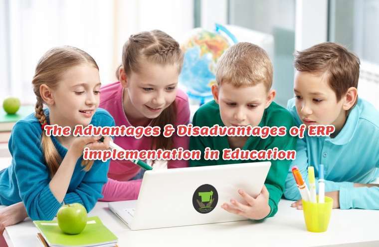 The Advantages & Disadvantages of ERP Implementation in Education